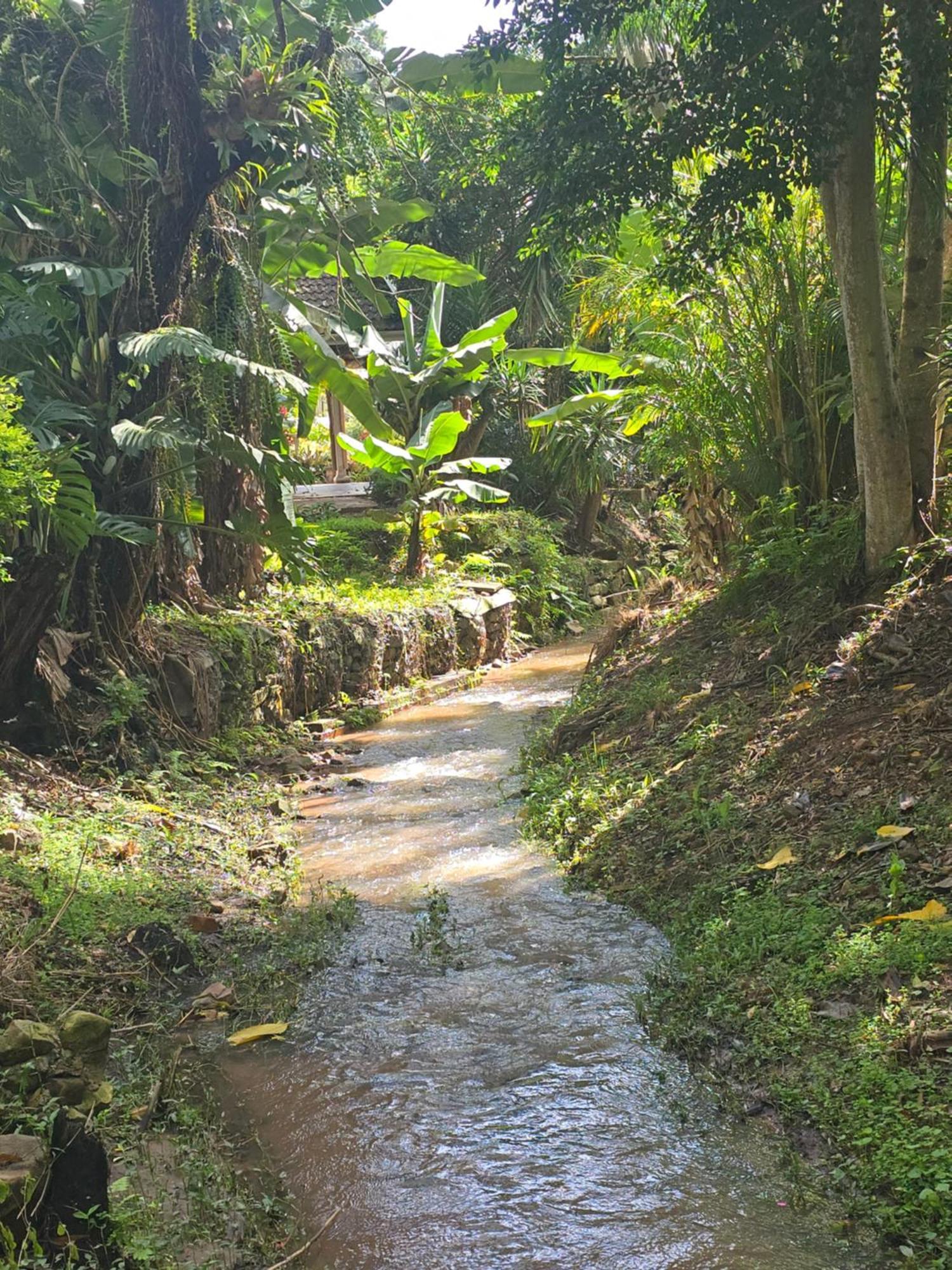 River Heaven Bnb Pinetown Ngoại thất bức ảnh